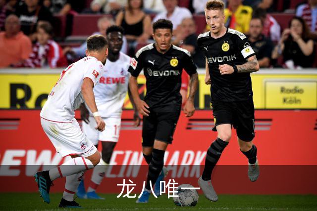龙八唯一公司形象展示图